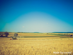 Sample image Sample image